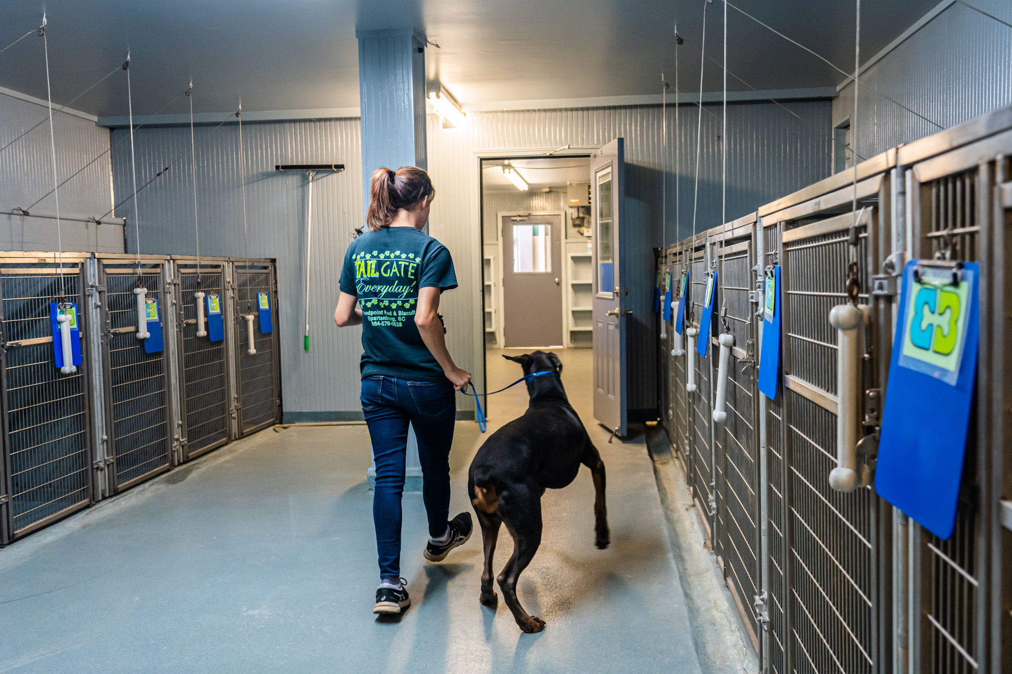 Bed & biscuit store kennel